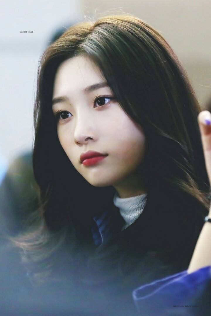 다이아/아이오아이 정채연 | 인스티즈