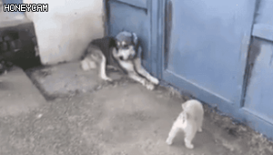 무고죄 올타임 레전드 | 인스티즈