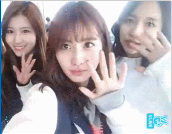 모모와 사나 | 인스티즈