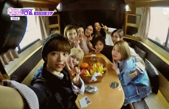 [트와이스] 트와이스 9명 단체사진 및 짤 모음 | 인스티즈