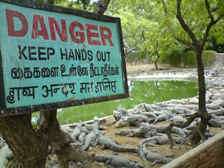 중국,인도네시아,북한의 동물원 (혐오주의) | 인스티즈