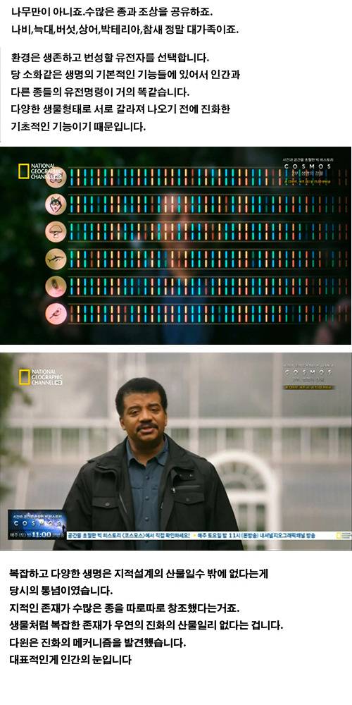 생물의 진화: 인간의 눈 | 인스티즈