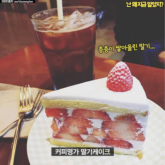 인기케이크 best 10 | 인스티즈