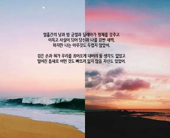  세상에는 나를 아껴주는 사람이 없고 나 역시 아무도 아끼지 않는다 | 인스티즈