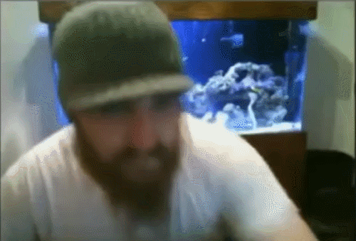 트위치에서 일어난 기적 | 인스티즈