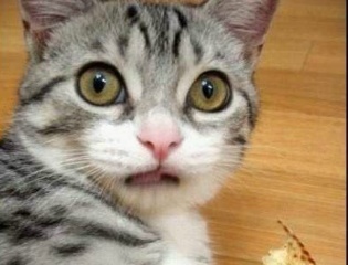 [시그널] 이미 과거가 바뀌고 있는것 같은 부분.... (feat. 박해영와 이재한의 첫만남이 바뀌었다..?!) | 인스티즈