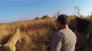 호랑이굴에들어가도 꽃가마타고나올듯한 남자 ㅇㅂㅇ | 인스티즈