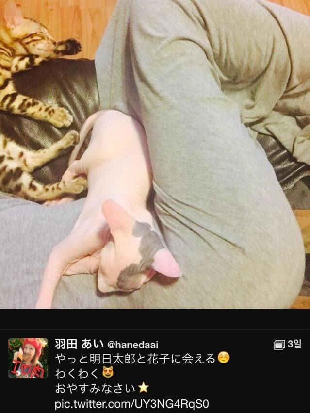  하네다 아이의 남자친구 | 인스티즈