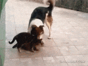  남편이 보는 앞에서 ntr을... | 인스티즈