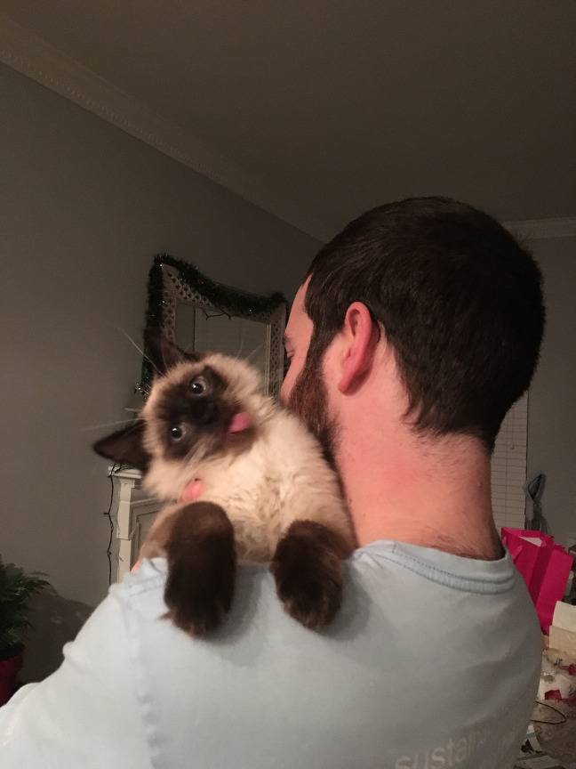 남자친구 고양이의 도발 | 인스티즈