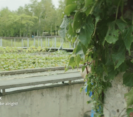 방민아 드라마 비주얼.gif | 인스티즈