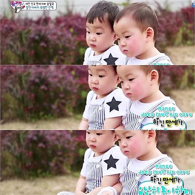 걸어다니는 애교주머니 민국이 모음 (데이터주의!) | 인스티즈