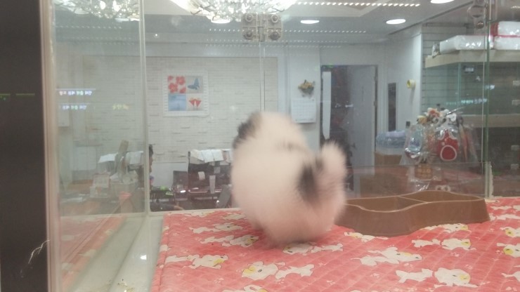 뒷모습 ㄷㄷㄷㄷㄷㄷ | 인스티즈