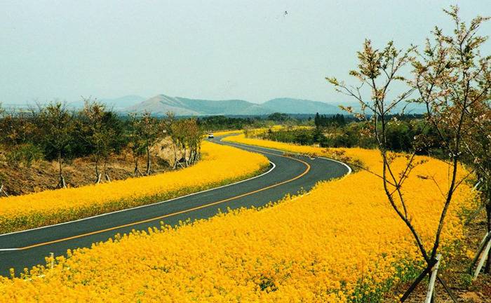 대한민국 최고의 드라이브 코스들 | 인스티즈