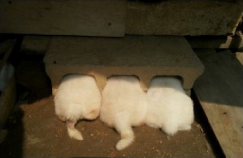 뒷모습 ㄷㄷㄷㄷㄷㄷ | 인스티즈