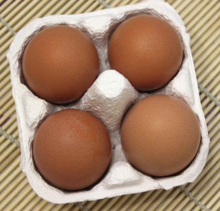 쉽게 이해하는 비타민에관한 이야기 (2) | 인스티즈