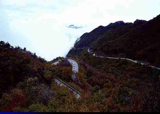 대한민국 최고의 드라이브 코스들 | 인스티즈