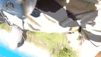 호랑이굴에들어가도 꽃가마타고나올듯한 남자 ㅇㅂㅇ | 인스티즈