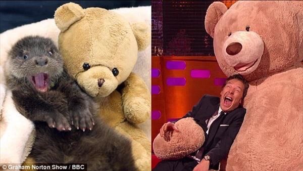 유쾌한 수달 | 인스티즈