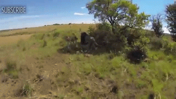 호랑이굴에들어가도 꽃가마타고나올듯한 남자 ㅇㅂㅇ | 인스티즈