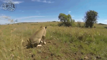 호랑이굴에들어가도 꽃가마타고나올듯한 남자 ㅇㅂㅇ | 인스티즈