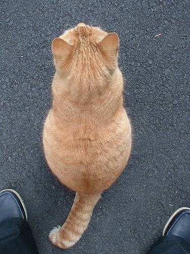 뒷모습 ㄷㄷㄷㄷㄷㄷ | 인스티즈