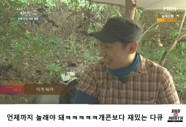 말벌 이후 레전드 경신한 나는 자연인이다 ㅋㅋㅋㅋㅋㅋㅋ | 인스티즈