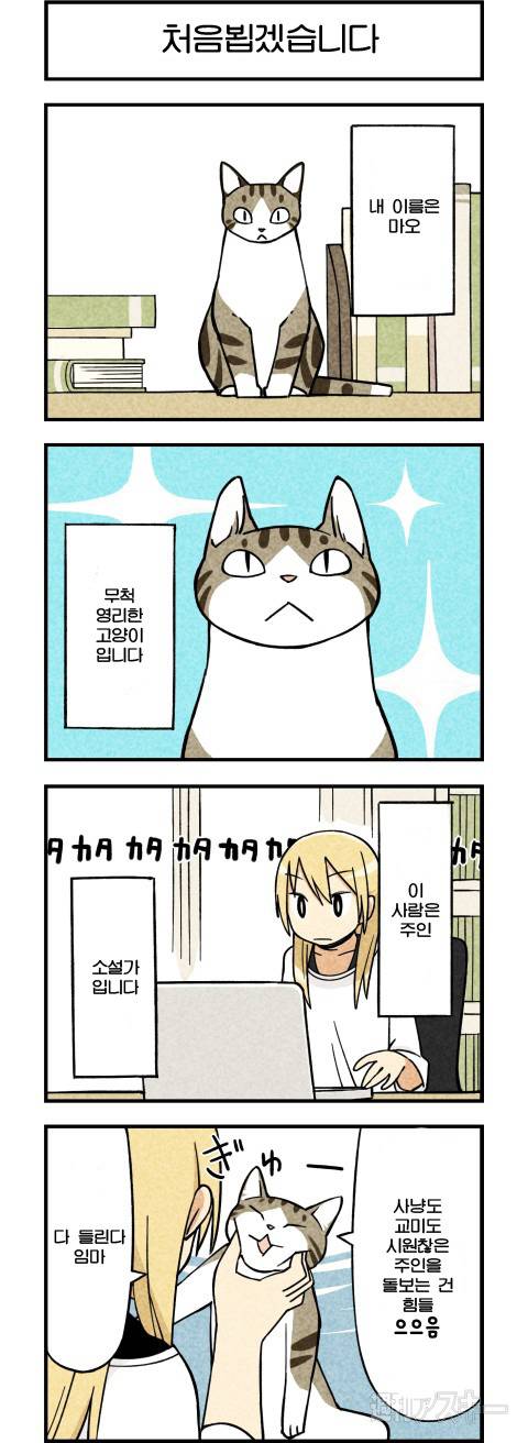 고양이가 말하는 만화.JPG | 인스티즈