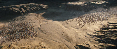 삼국지 vs 초한지.jpg | 인스티즈