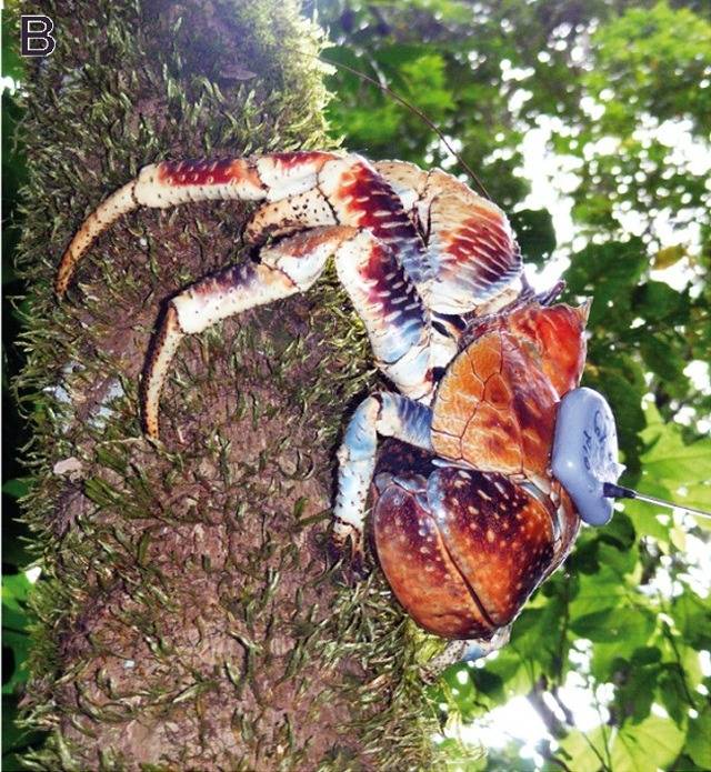 실제로 눈앞에 나타나면 기겁하게 될 놈들 | 인스티즈