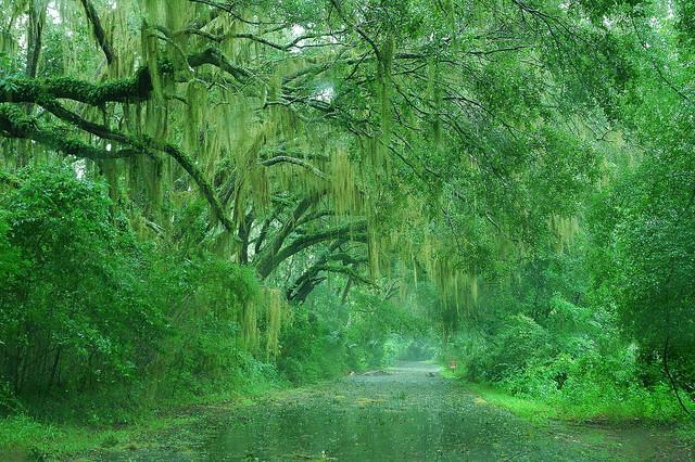 괜히 우울하고 기분 이상하게 만드는날 .jpg | 인스티즈