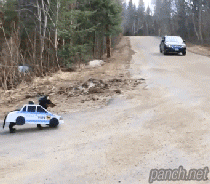 대놓구 뇌물 받아먹는 견찰 ... 분노주의 | 인스티즈