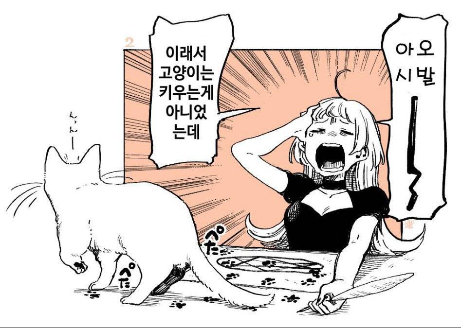 마녀가 길냥이 주워와서 키우는 만화 | 인스티즈