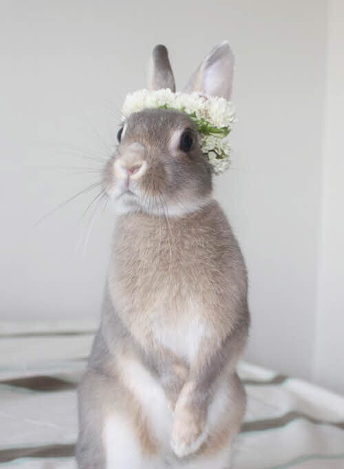 스마트폰 배경화면 | 인스티즈