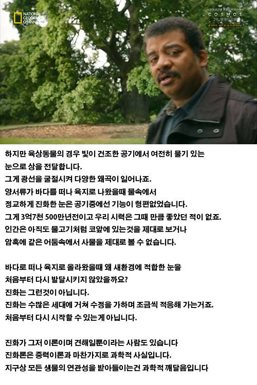 생물의 진화: 인간의 눈 | 인스티즈