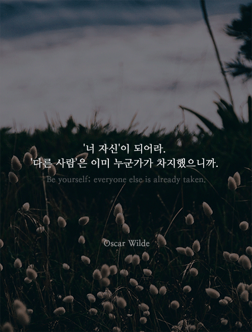 자존감이 낮은 당신에게 필요한 명언 13가지 | 인스티즈