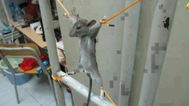 내가 구속이라고? | 인스티즈