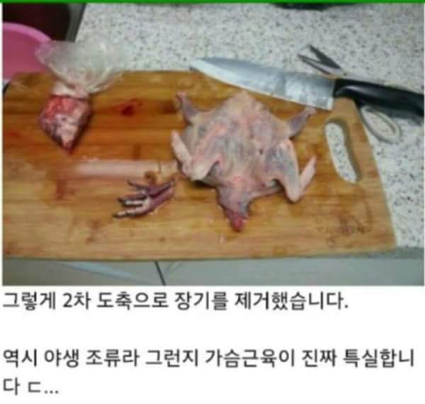 비둘기 요리.jpg | 인스티즈