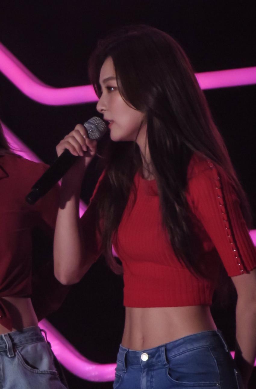 피버 페스티벌 레드벨벳 | 인스티즈