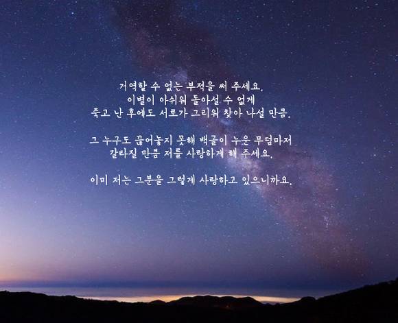  세상에는 나를 아껴주는 사람이 없고 나 역시 아무도 아끼지 않는다 | 인스티즈