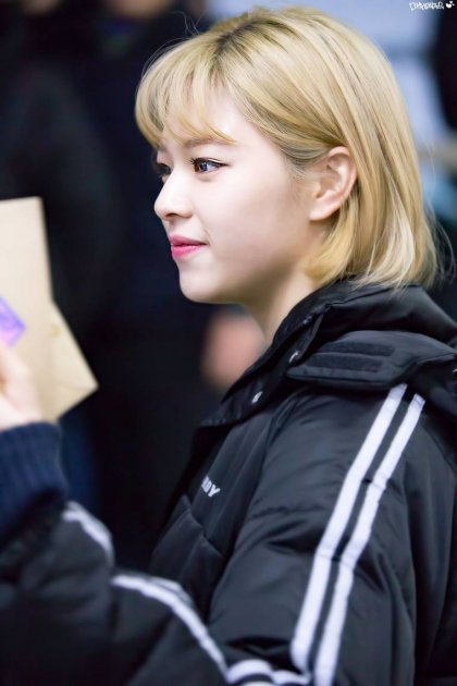 트와이스 정연 지효 | 인스티즈