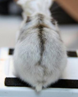 뒷모습 ㄷㄷㄷㄷㄷㄷ | 인스티즈