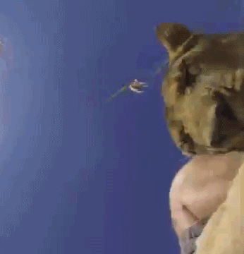 호랑이굴에들어가도 꽃가마타고나올듯한 남자 ㅇㅂㅇ | 인스티즈