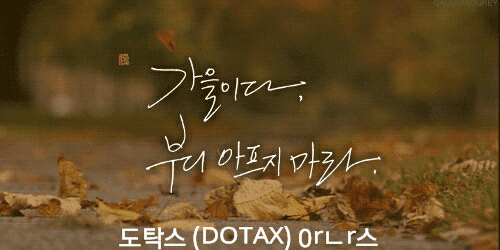 설마 나도 금사빠인가~? 본격 금사빠 테스트 | 인스티즈