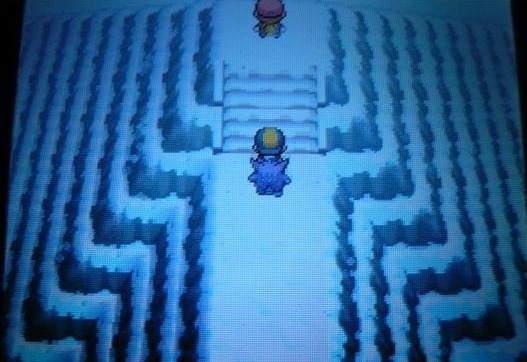 포켓몬스터 레드 " 나는 정점이다" | 인스티즈