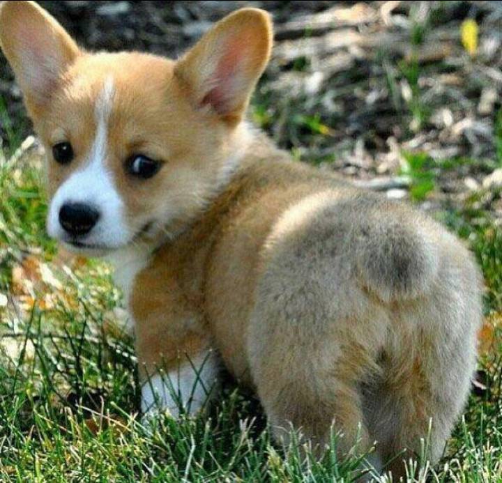 뒷모습 ㄷㄷㄷㄷㄷㄷ | 인스티즈