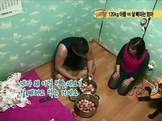 덴마크식 다이어트 | 인스티즈