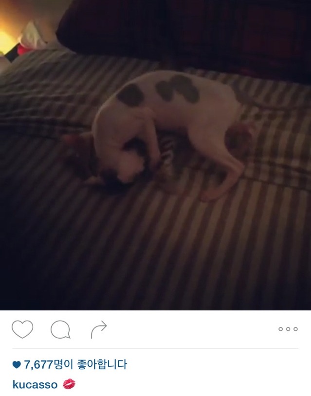  하네다 아이의 남자친구 | 인스티즈