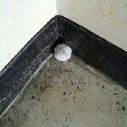 뒷모습 ㄷㄷㄷㄷㄷㄷ | 인스티즈