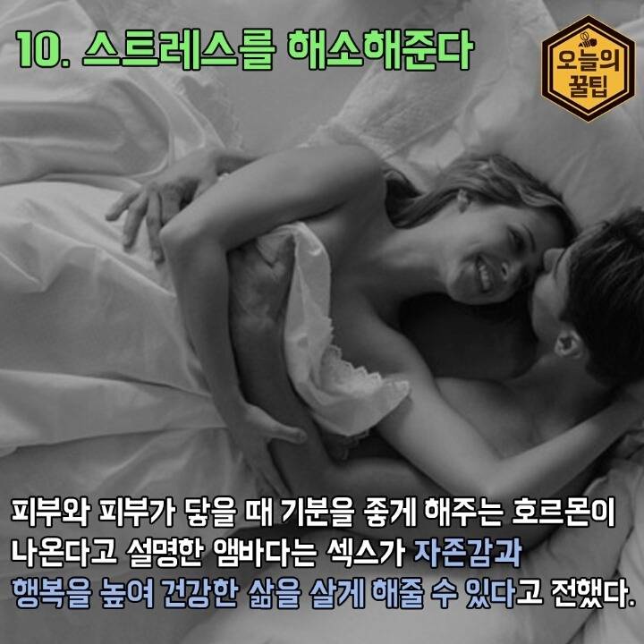 섹스가 건강에 좋은 이유 | 인스티즈